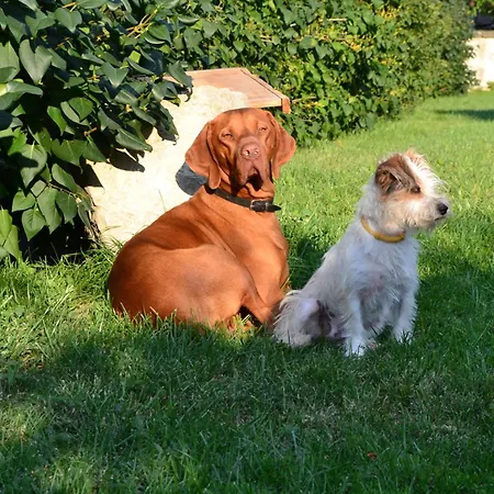 Turjan Vendeghaz Guest house 3*