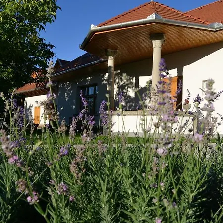 Guest house Turjan Vendeghaz