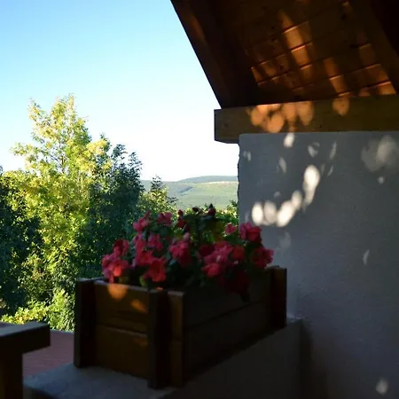 Guest house Turjan Vendeghaz