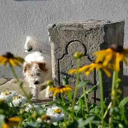 Turjan Vendeghaz Guest house